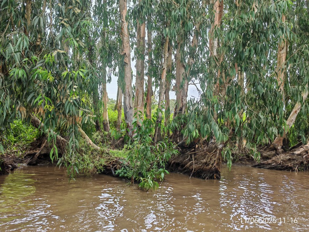 1000010550.jpg