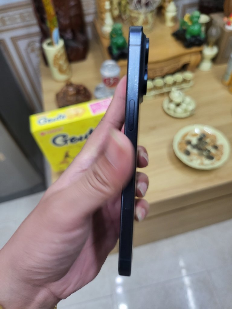 1000000915.jpg