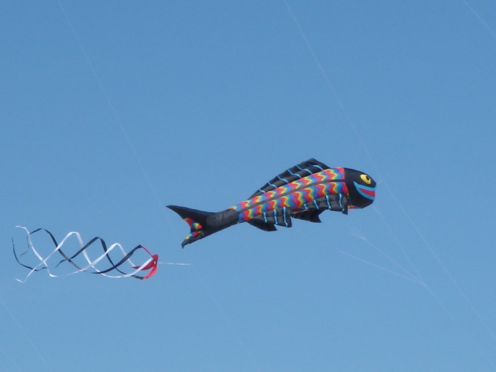 DSC06445.JPG
