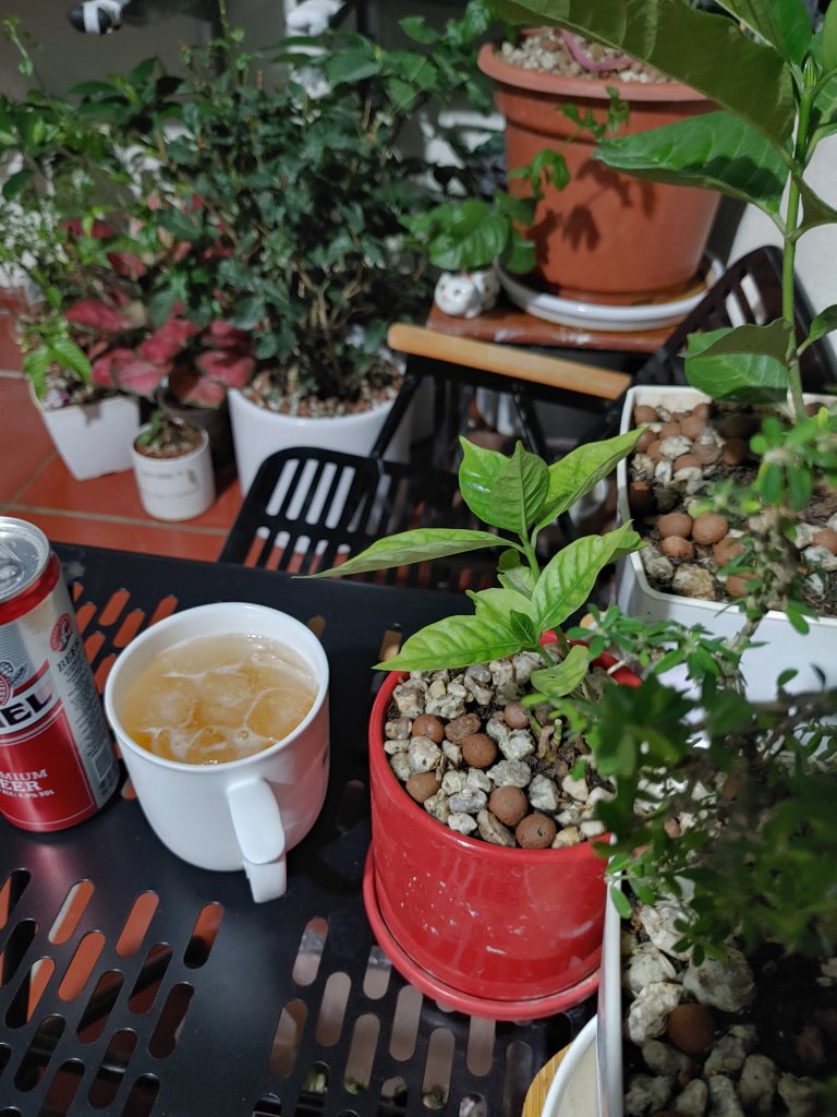 20250614_210139_HDR.jpg