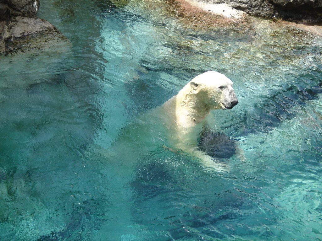 DSC02528.JPG