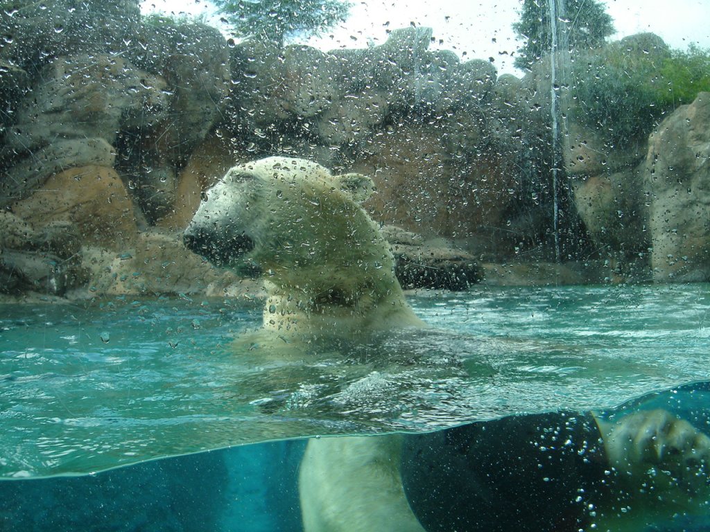 DSC02531.JPG