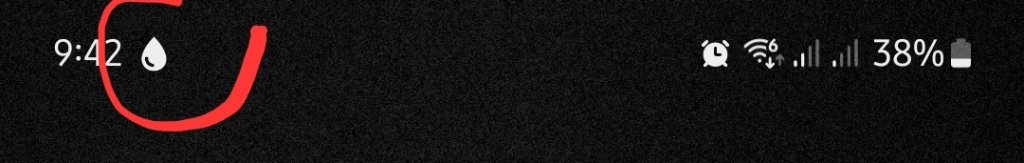 1000004631.jpg