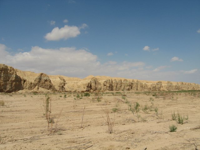 IMG_0025.jpg