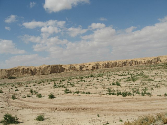 IMG_0029.jpg