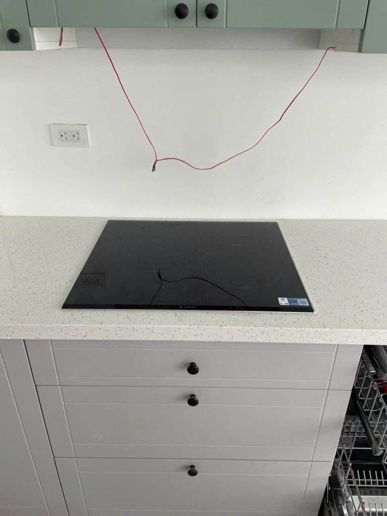 1000083486.jpg