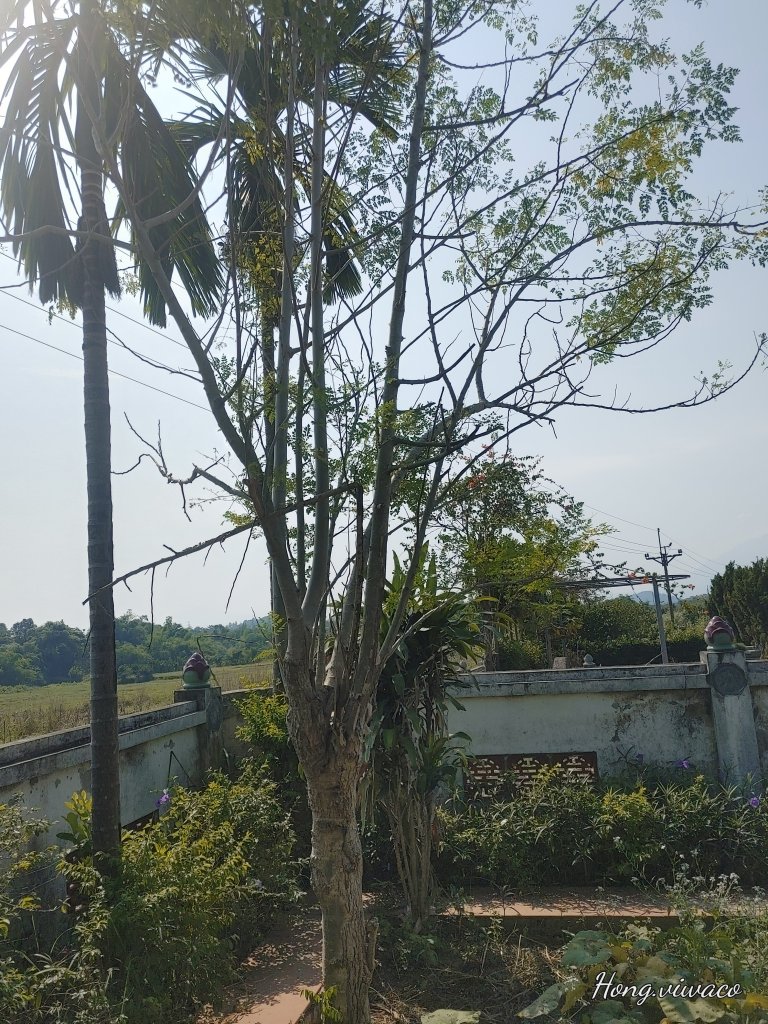 20241120_111432_HDR.jpg