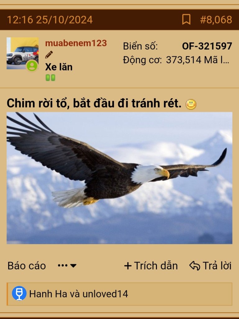 1000041072.jpg