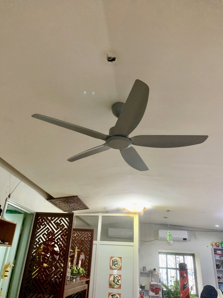 IMG_3674.jpeg