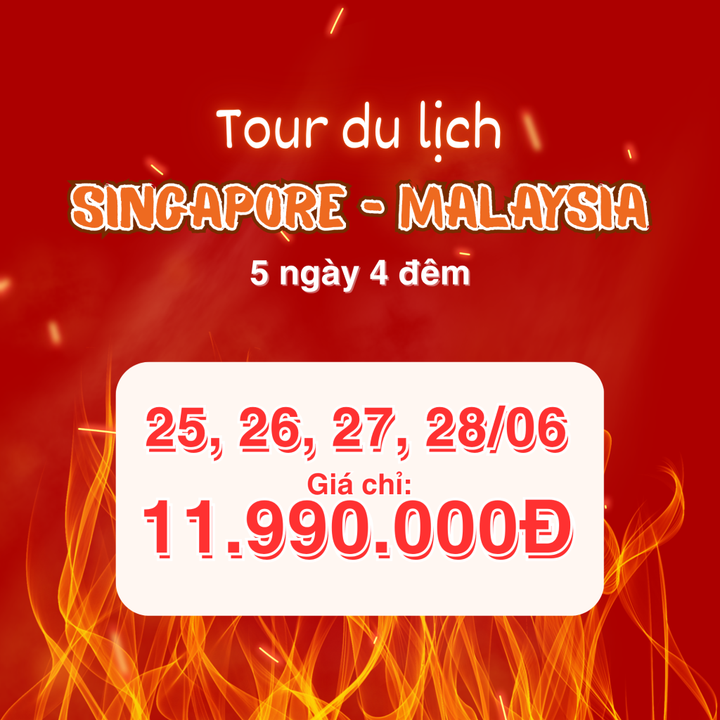 25262728 (1).png