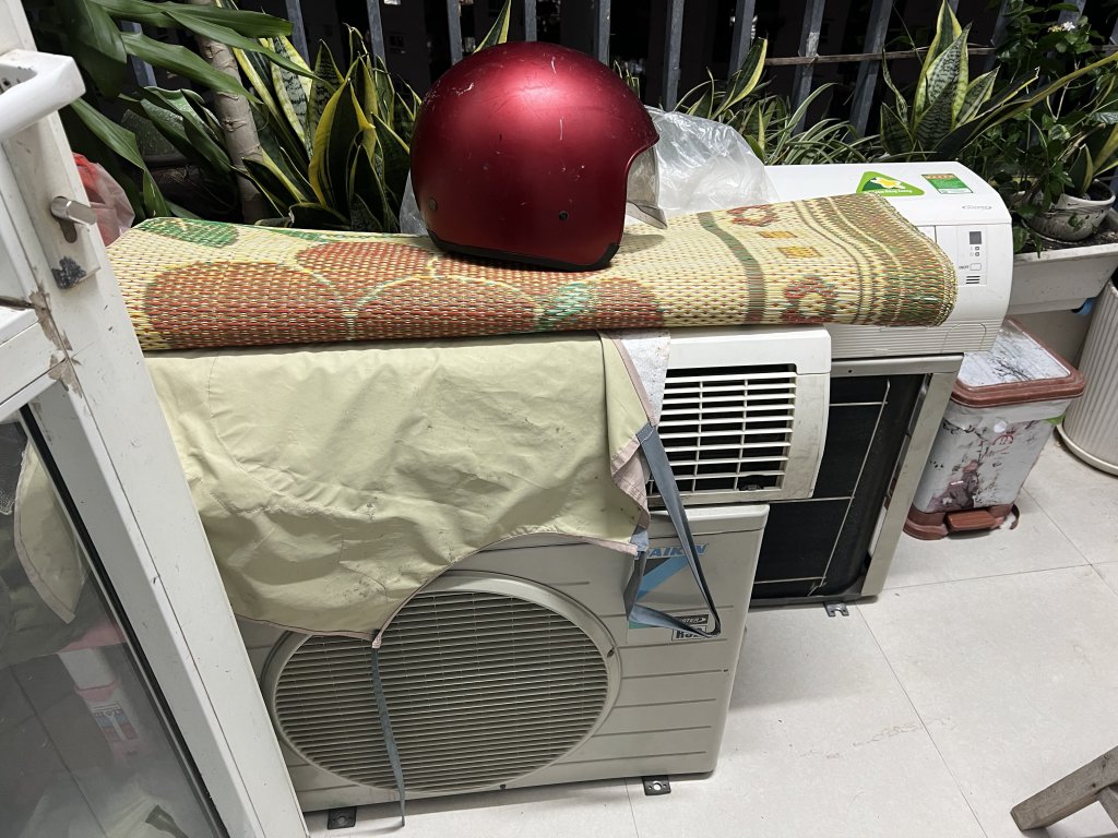 IMG_5260.jpeg
