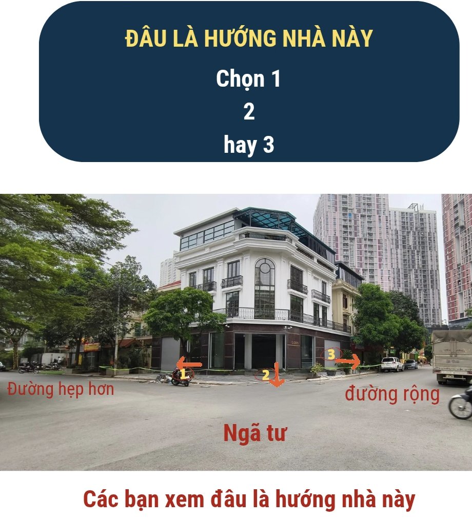 1000015298.jpg