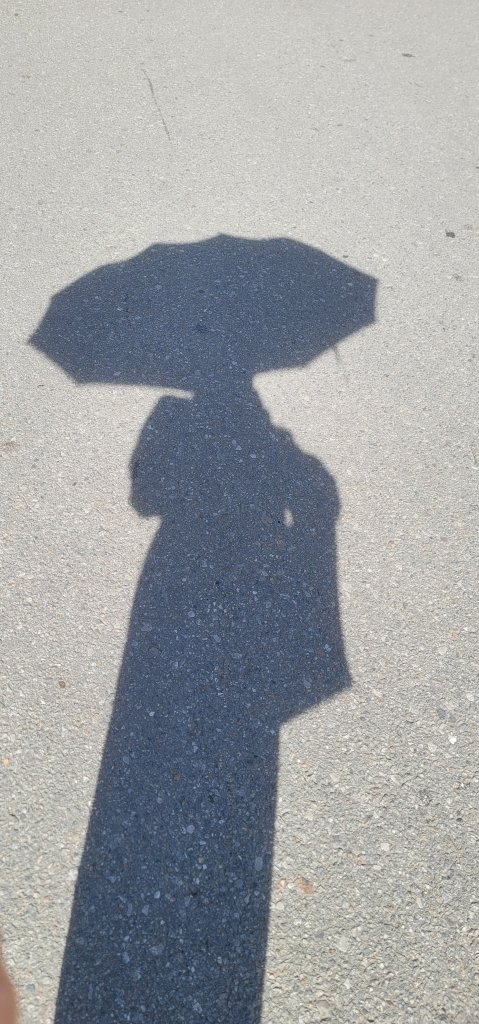 20250619_080912.jpg