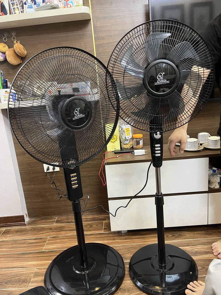 IMG_6286.jpeg