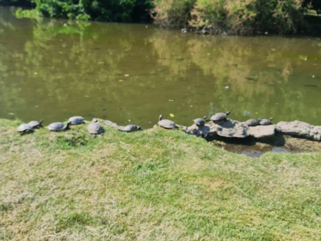 20250619_101111.jpg