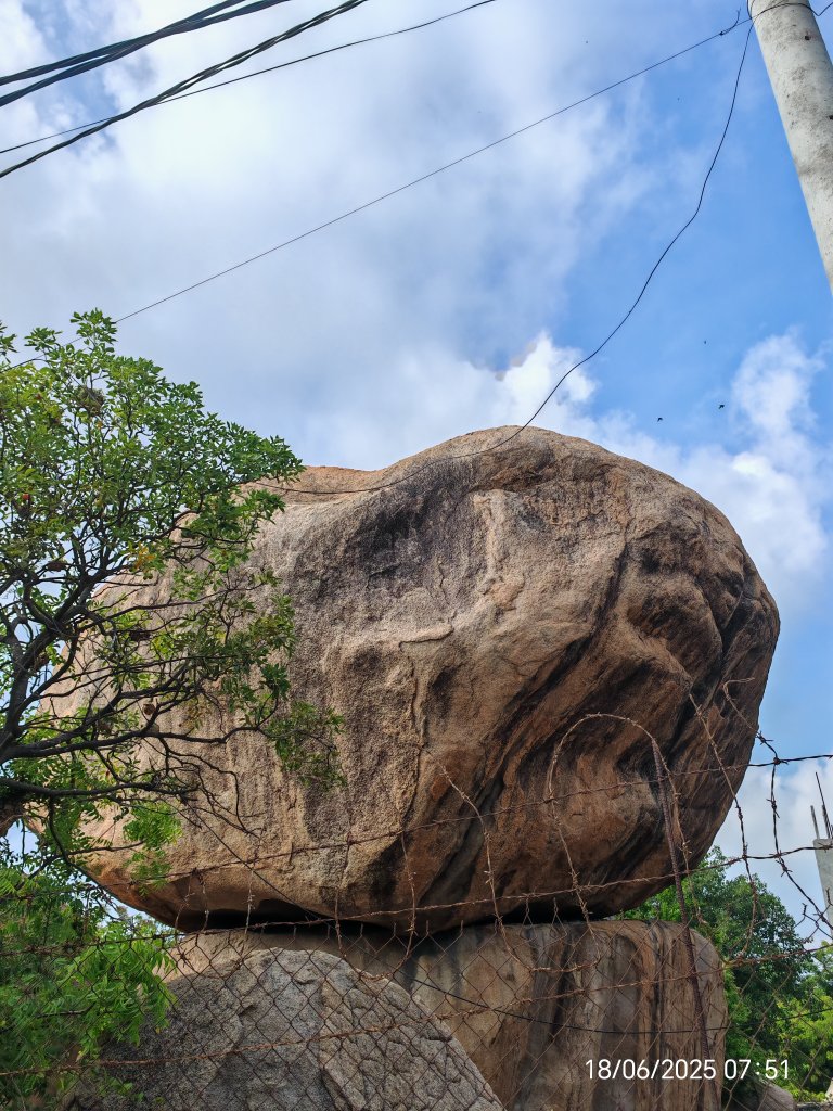 1000011497.jpg