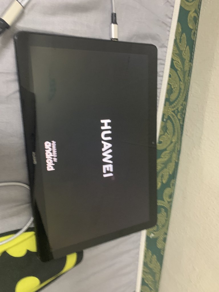 IMG_0986.jpeg