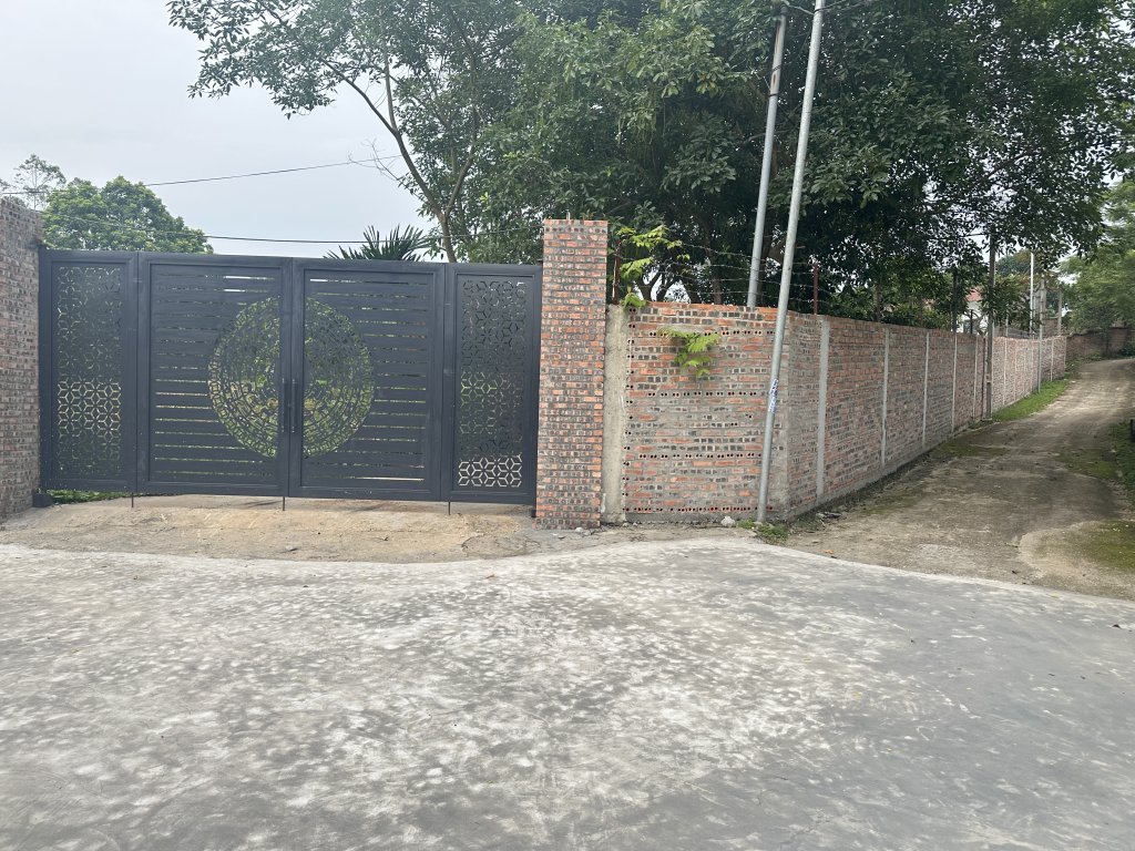 IMG_9463.jpeg