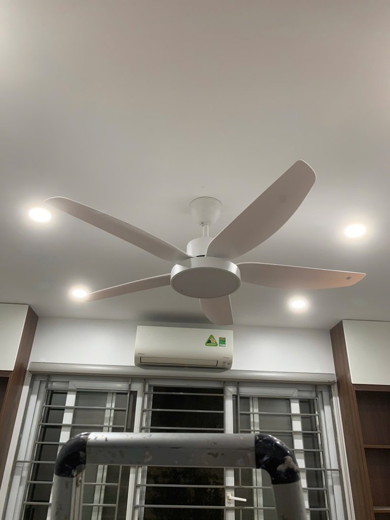 8450004-b393c66dfc47b29166c02d7f4c7393d2.jpeg