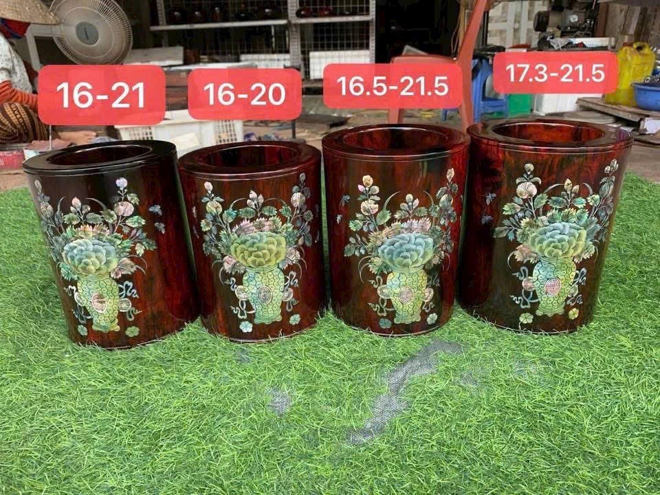 1000029541.jpg