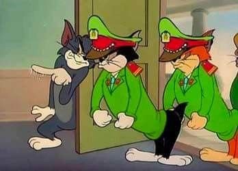 meo-tom-goi-cong-an-meme.jpg