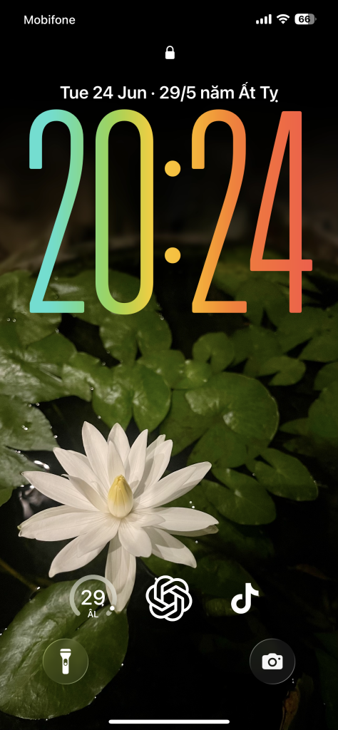 IMG_2634.png