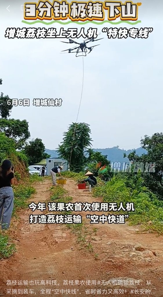 IMG_4967.jpeg