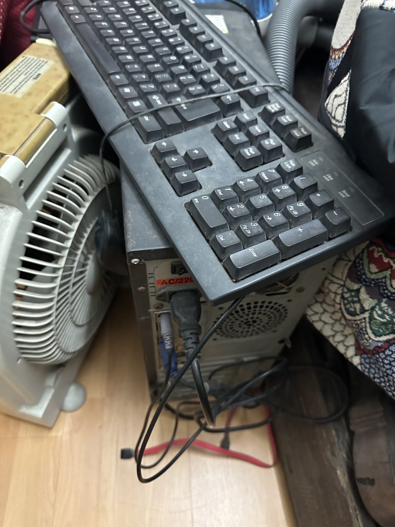 IMG_2876.jpeg