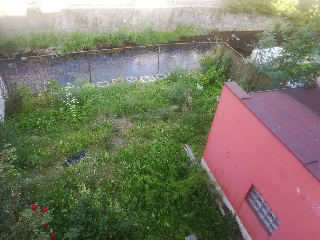 IMG_20250622_180955.jpg