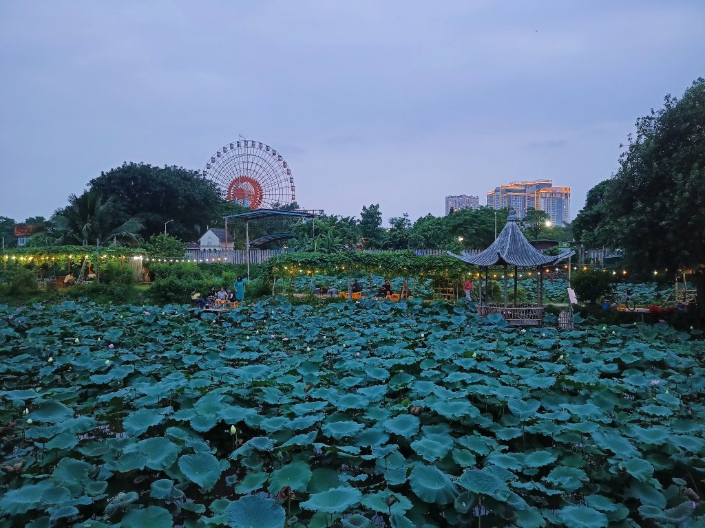 IMG_20250626_184938.jpg