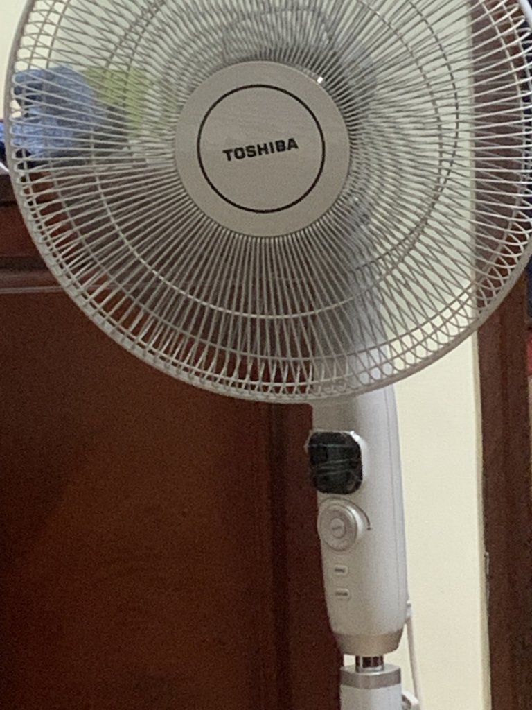IMG_7573.jpeg