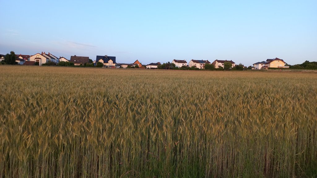 20250625_211559.jpg