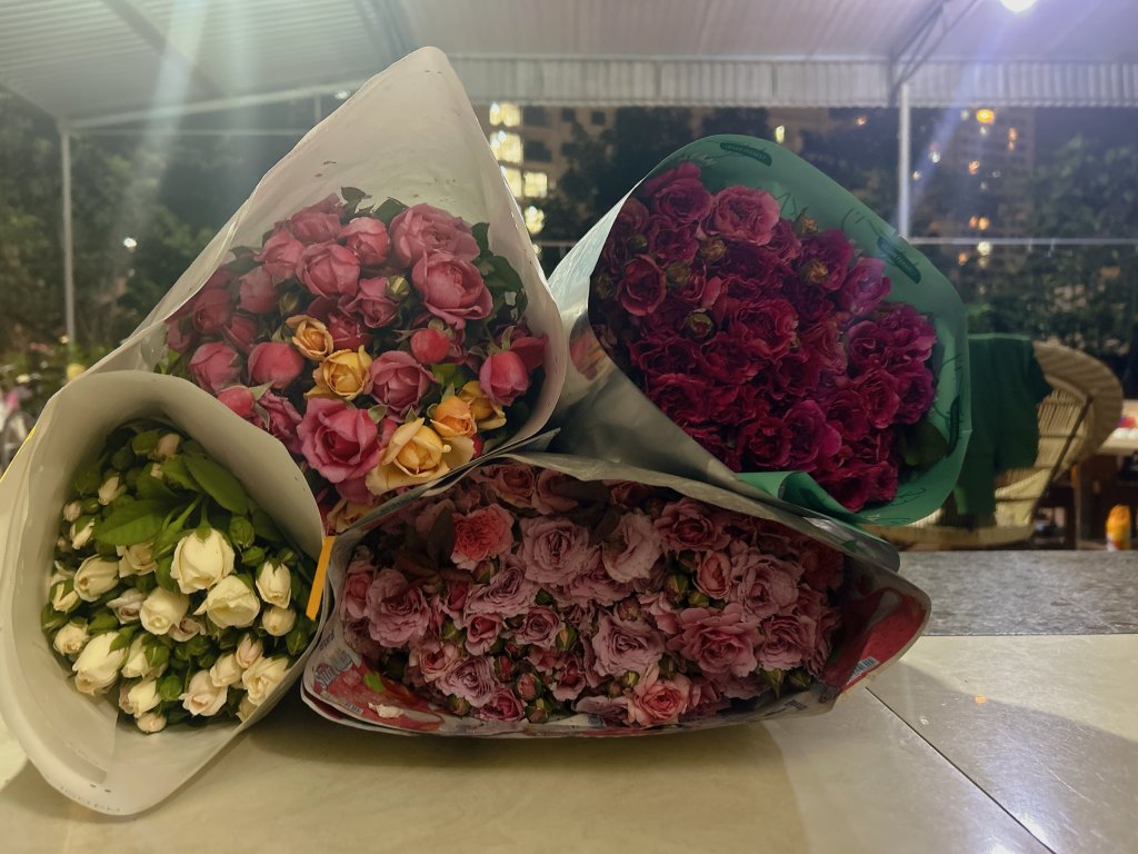IMG_0525.jpeg