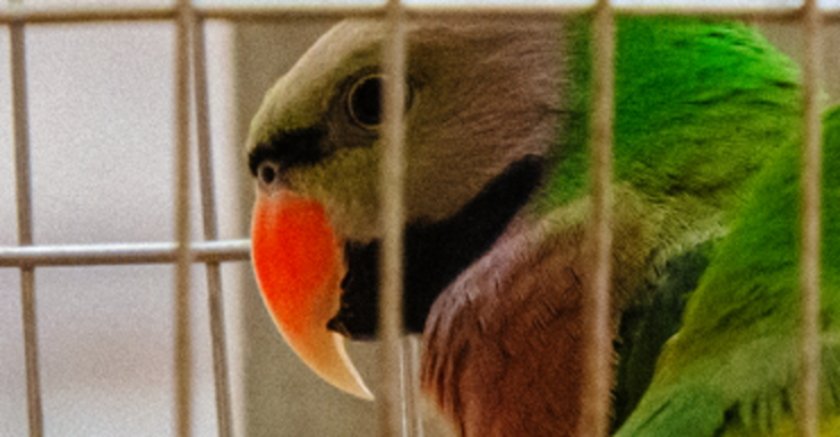 IMG_3019 Crop.JPG