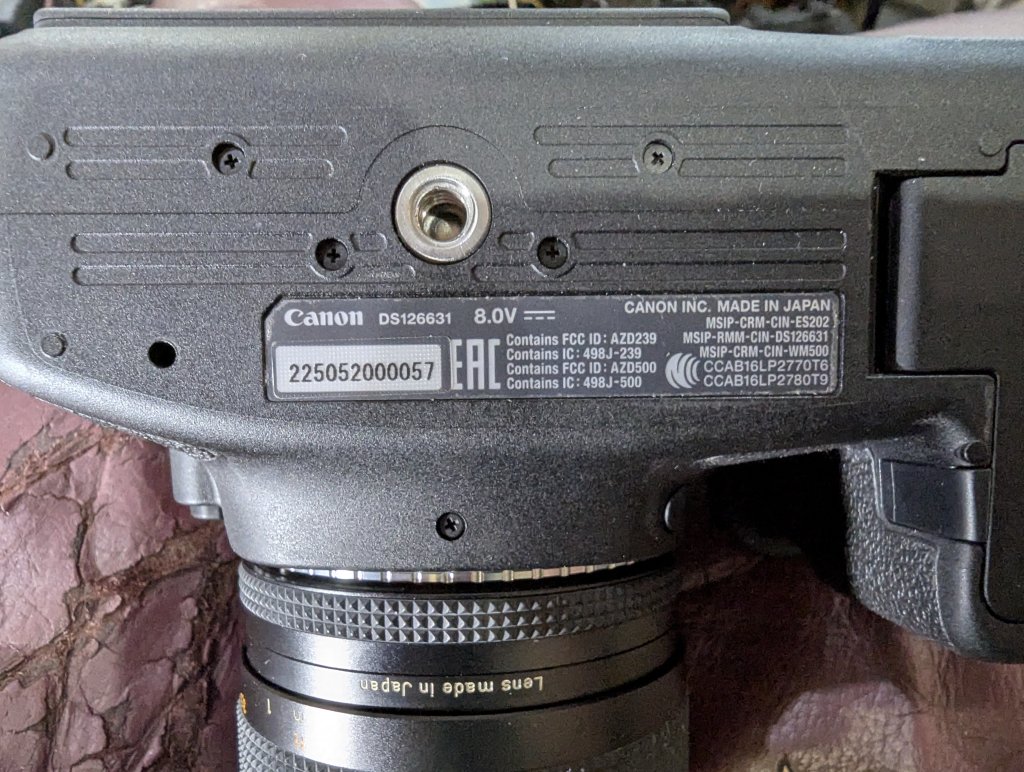 PXL_20250629_024154529.RAW-01.COVER.jpg