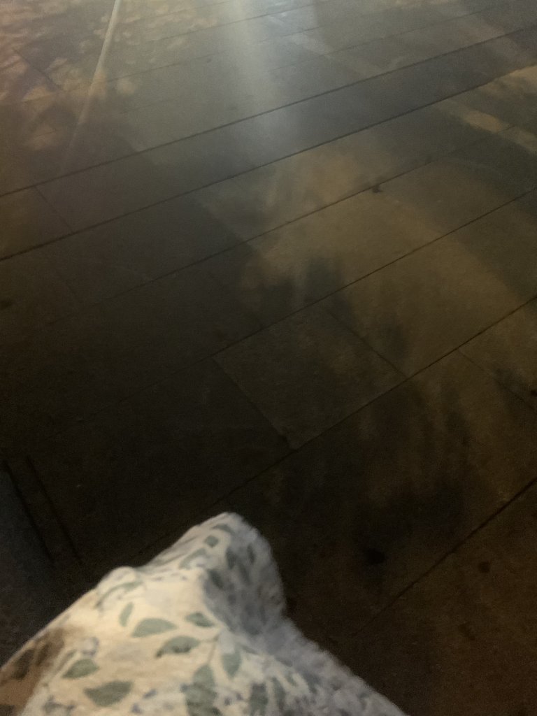 D1646E9B-6210-489B-8114-B8C04A4B3F08.jpeg