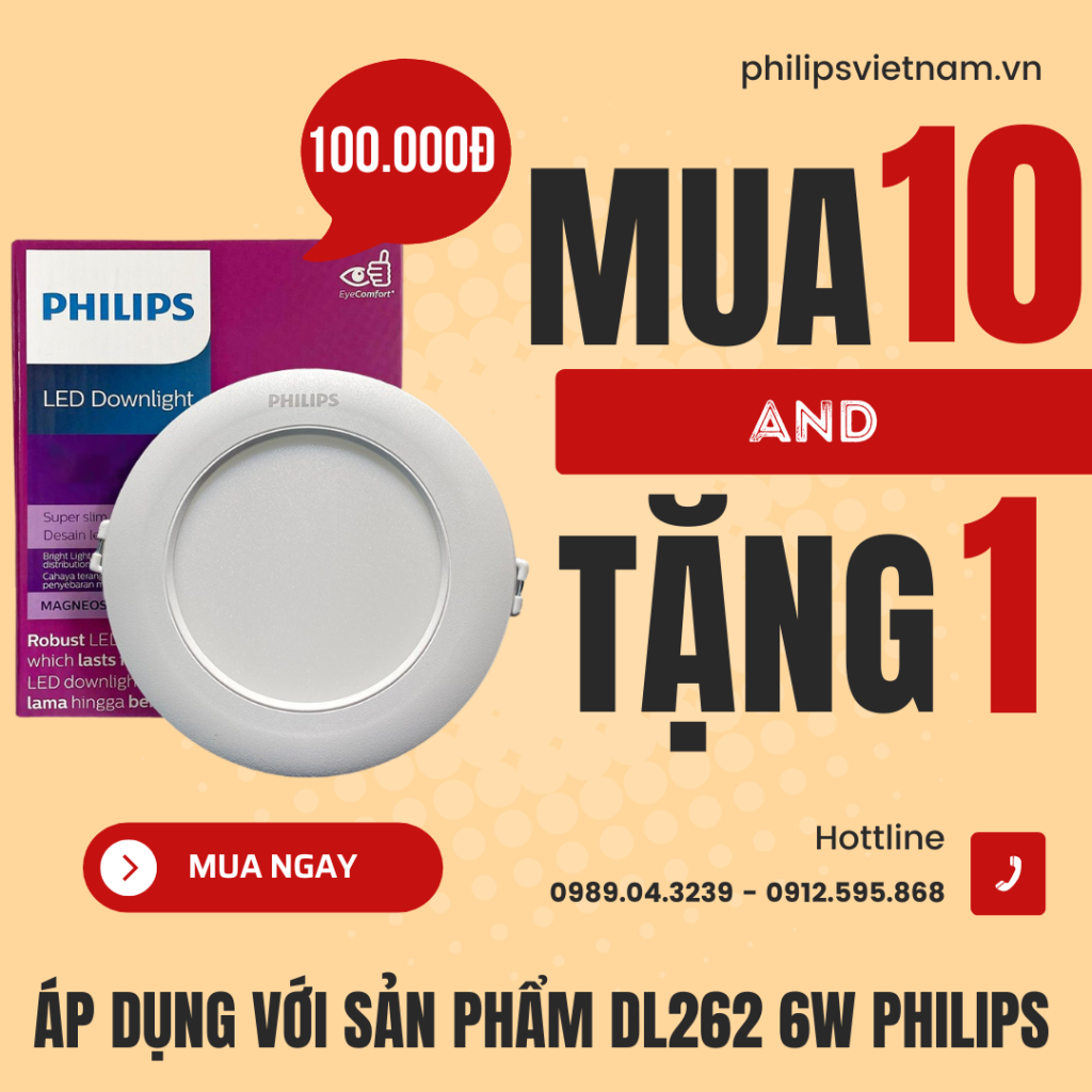 dl262-10-tang-1.png