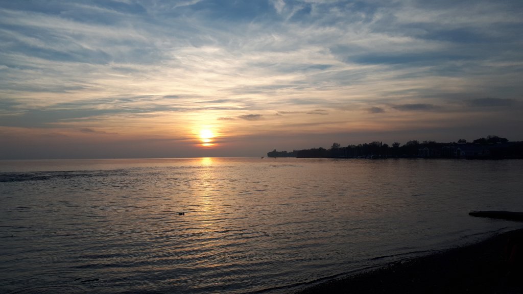 20211017_181334.jpg