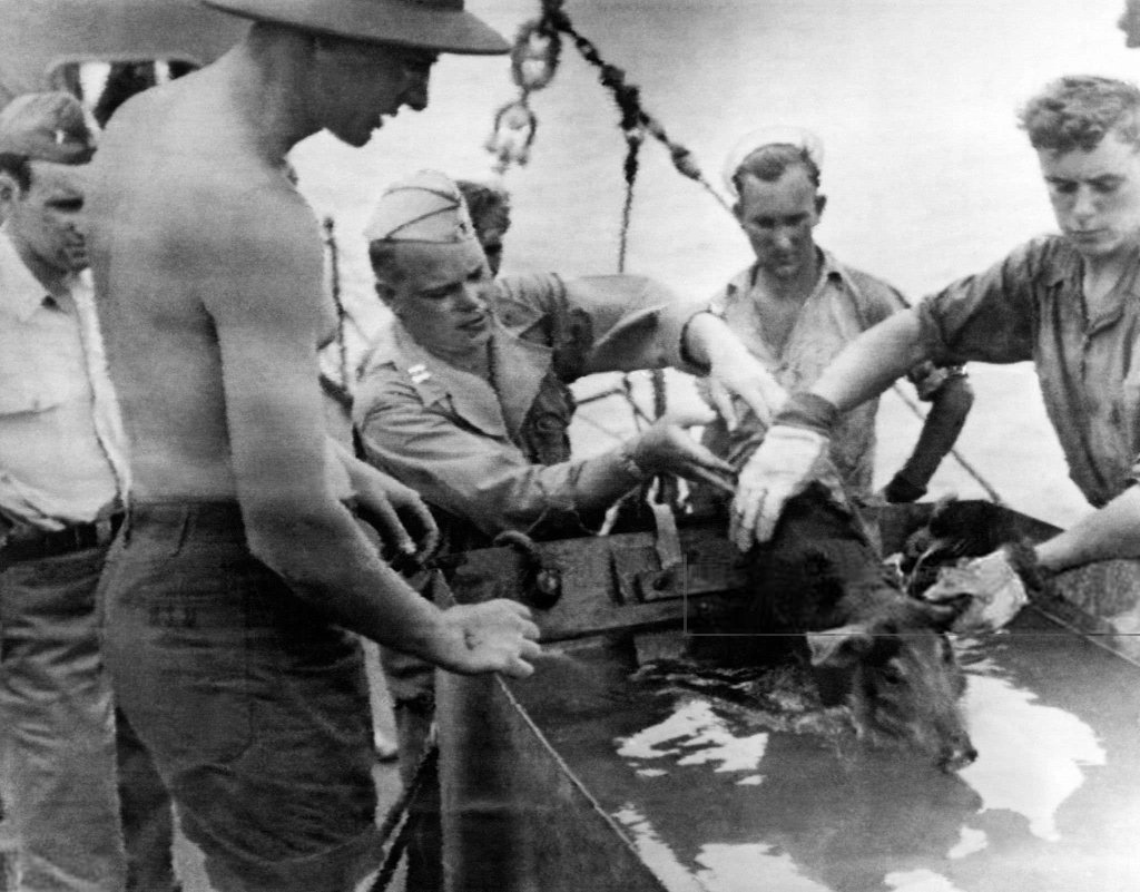 A-Bomb 1946_7_1 (40).jpg