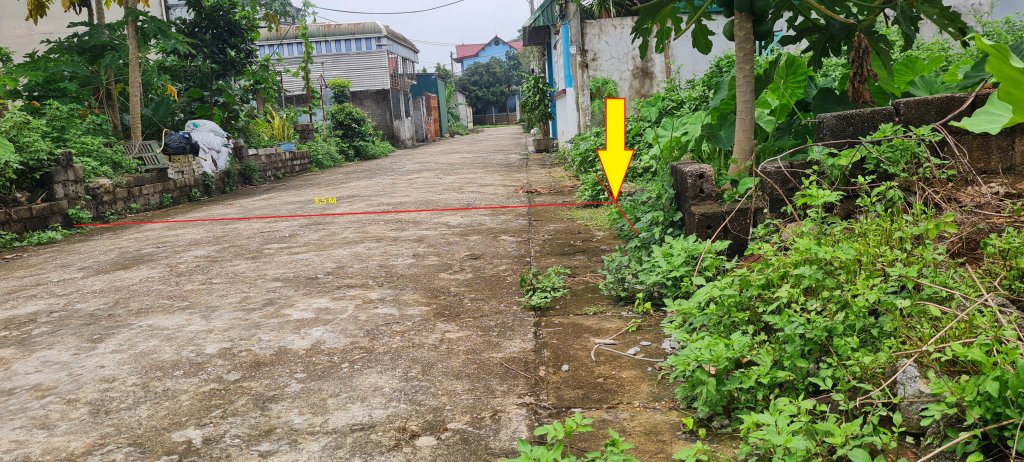 Đường-2.jpg
