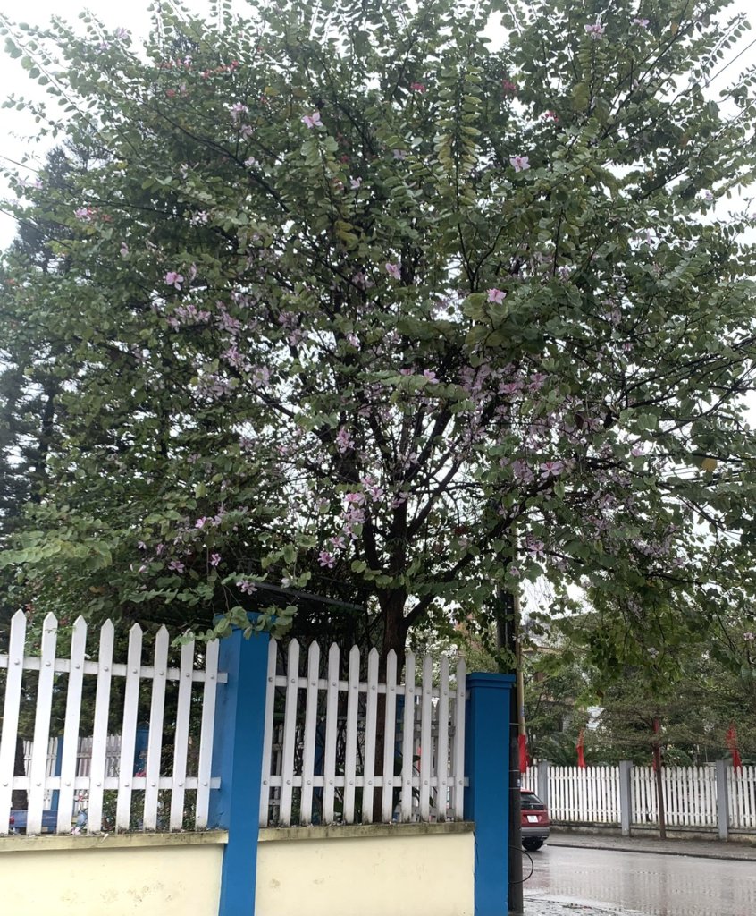 z6763963429295_d7b01c875e674de48762c19cf38e6454.jpg