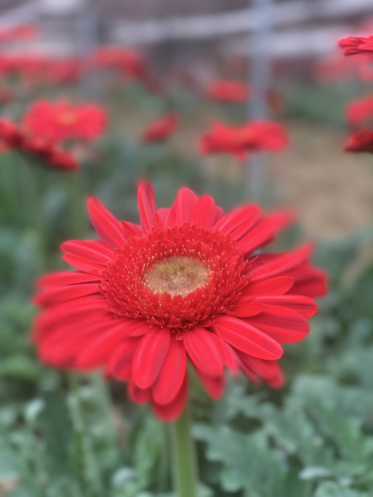 z6763983960948_07d062288d3181081afa0b4072ba33f6.jpg