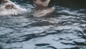 image.gif