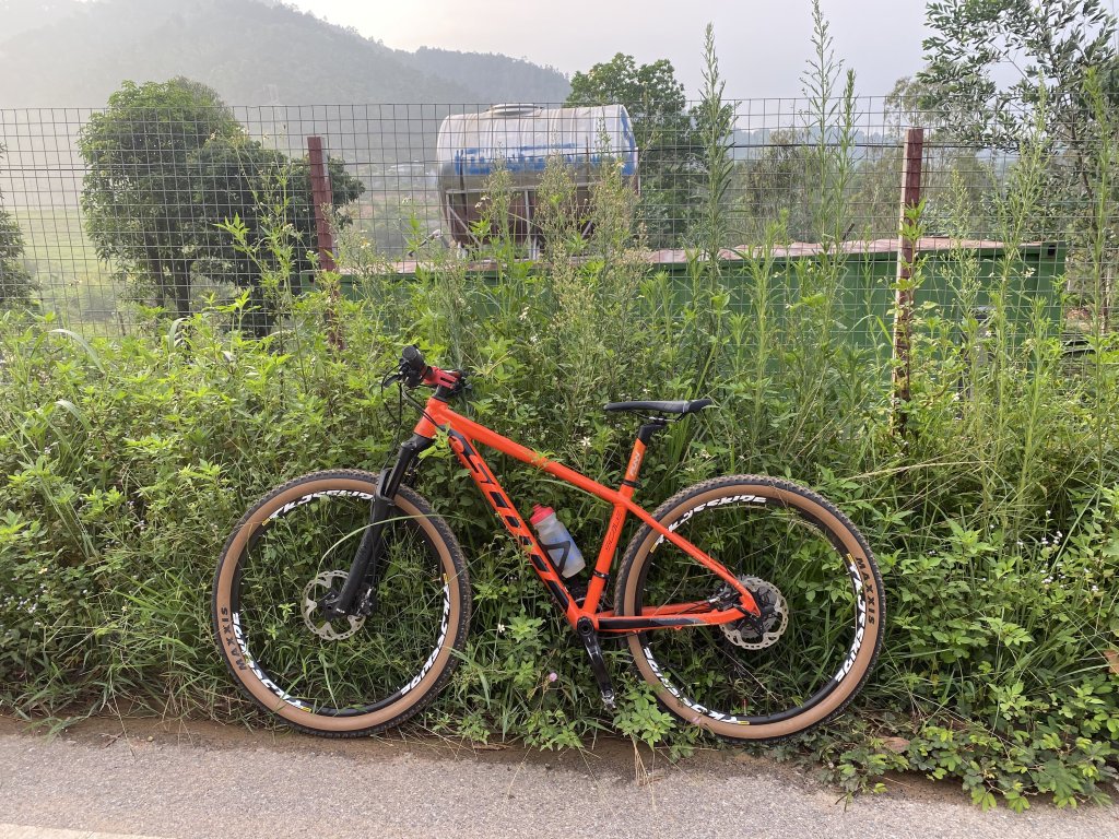 IMG_5930.jpeg