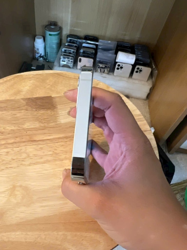 1000001167.jpg