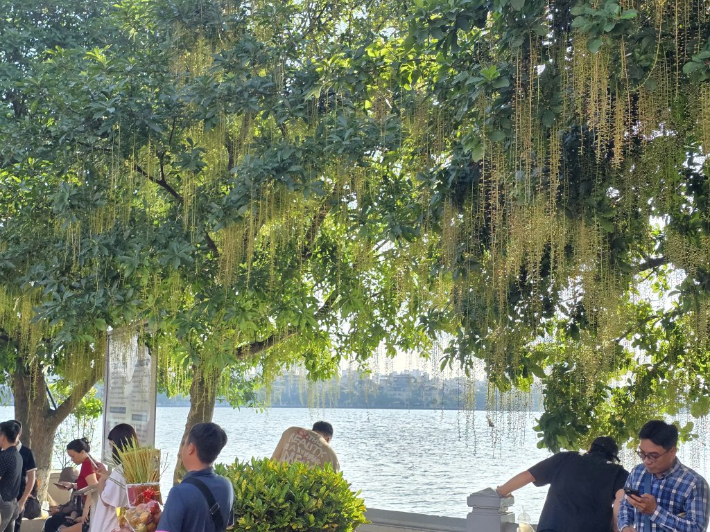 20250625_164514.jpg