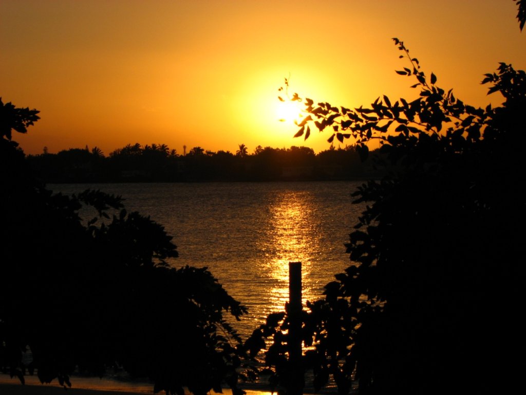 20250706_002105.jpg