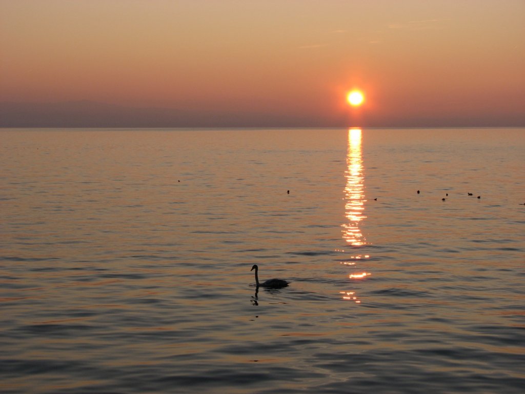 20250706_001747.jpg