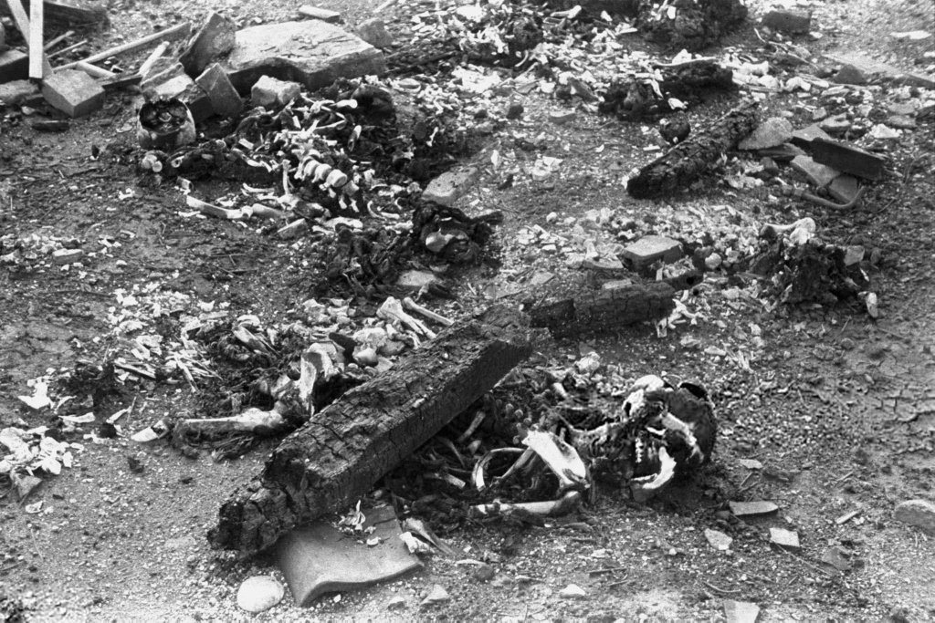 Nagasaki (130).jpg