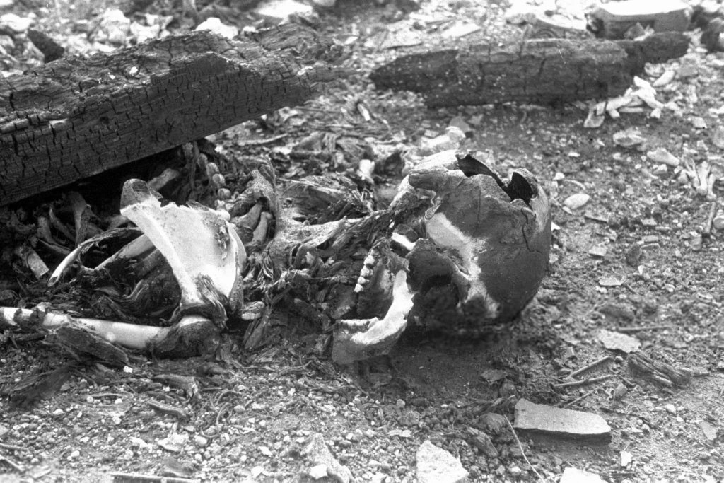 Nagasaki (131).jpg